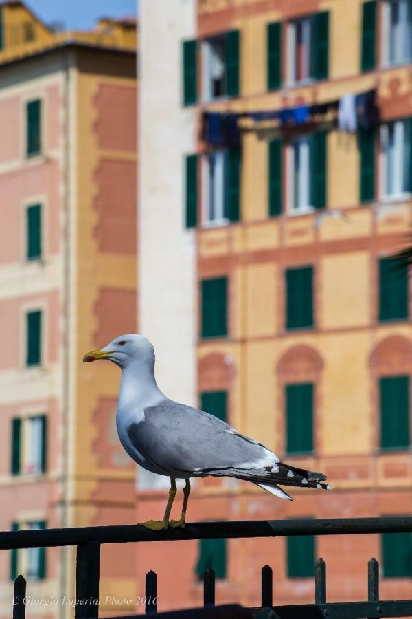 La Casa Di Francy Lägenhet Camogli Exteriör bild