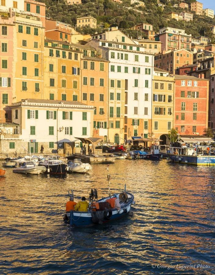 La Casa Di Francy Lägenhet Camogli Exteriör bild