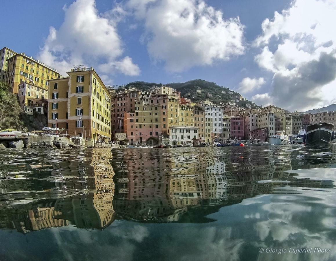 La Casa Di Francy Lägenhet Camogli Exteriör bild
