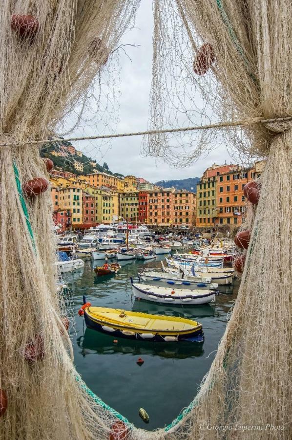 La Casa Di Francy Lägenhet Camogli Exteriör bild